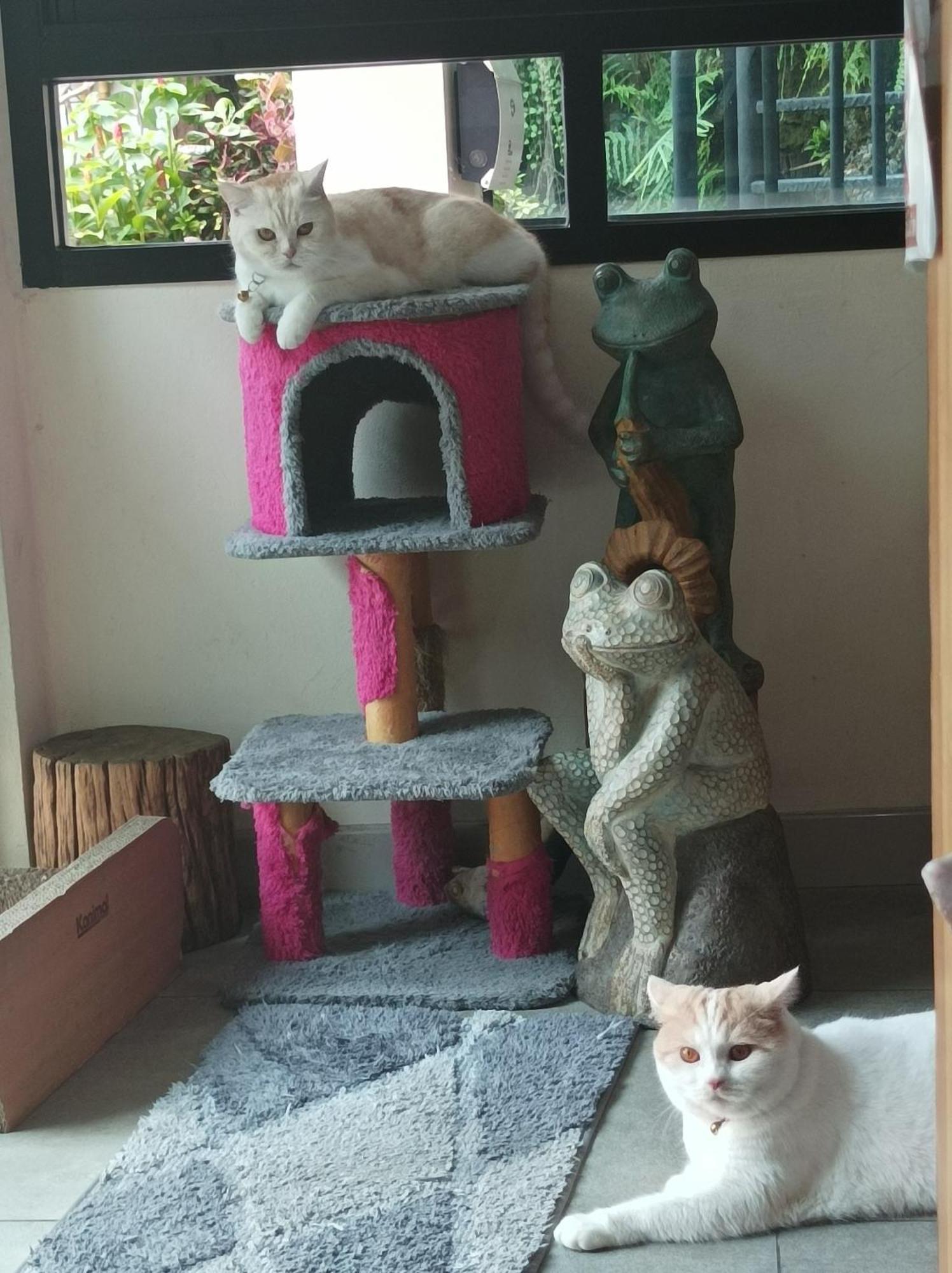 Double D Rooms & Cafe Bangkok Ngoại thất bức ảnh